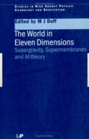 World in Eleven Dimensions