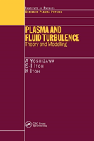 Plasma and Fluid Turbulence