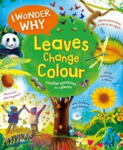 I Wonder Why Leaves Change Colour