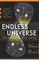 Endless Universe