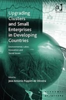Upgrading Clusters and Small Enterprises in Developing Countries