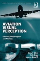 Aviation Visual Perception