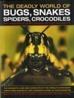 Deadly World of Bugs, Snakes, Spiders, Crocodiles and Hundreds of Other Amazing Reptiles and Insects