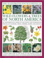 Illustrated Encyclopedia of Wild Flowers & Trees of North America