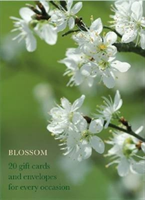 Blossom Large Card Box