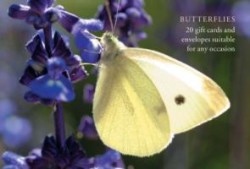Butterfly Gift Card Pack