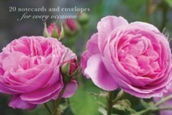 Card Box of 20 Notecards and Envelopes: Pink Rose