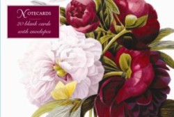 Card Box of 20 Notecards and Envelopes: Redoute Peony