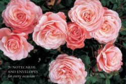 Card Box of 20 Notecards and Envelopes: Roses