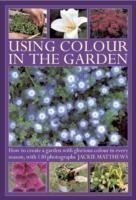 Using Colour in the Gardens