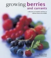 Growing Berries and Currants