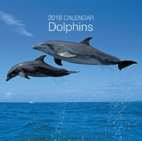 2018 Calendar: Dolphins