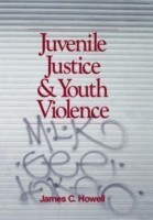 Juvenile Justice and Youth Violence