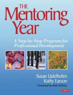 Mentoring Year