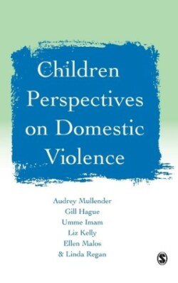 Children′s Perspectives on Domestic Violence