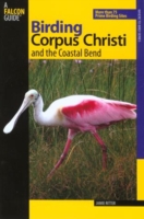 Birding Corpus Christi and the Coastal Bend