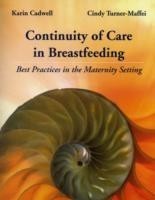 Continuity of Care in Breastfeeding: Best Practices in the Maternity Setting