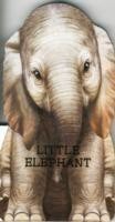 Little Elephant