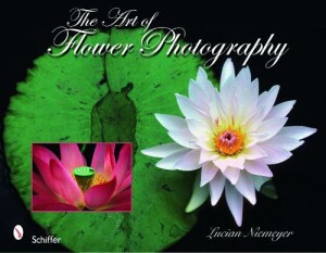 Art of Flower Photography