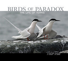 Birds of Paradox