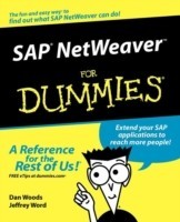 Sap Netweaver for Dummies