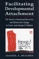 Facilitating Developmental Attachment