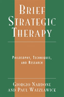 Brief Strategic Therapy