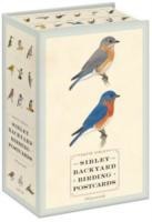 Sibley Backyard Birding Postcards