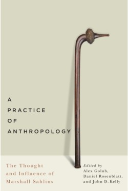 Practice of Anthropology