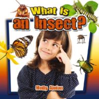 What is an insect?