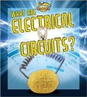 What are electrical circuits?