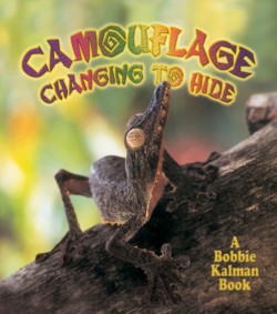 Camouflage