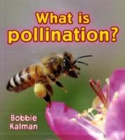 What is pollination?