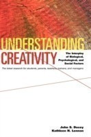 Understanding Creativity