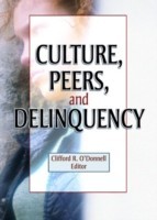 Culture, Peers, and Delinquency