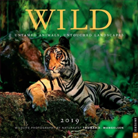 Wild 2019 Square Wall Calendar