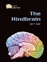 Hindbrain