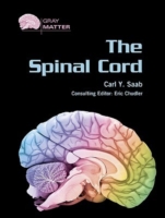 Spinal Cord