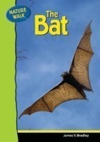 Bat