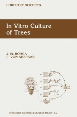 In Vitro Culture of Trees