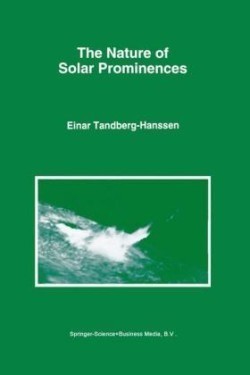 Nature of Solar Prominences