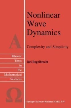 Nonlinear Wave Dynamics