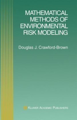 Mathematical Methods of Environmental Risk Modeling