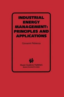 Industrial Energy Management: Principles and Applications