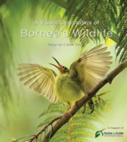 Visual Celebration of Borneo's Wildlife