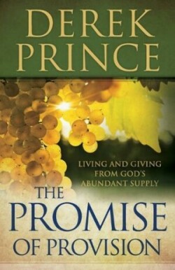 Promise of Provision – Living and Giving from God`s Abundant Supply
