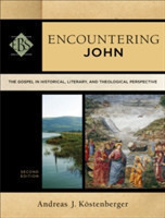 Encountering John – The Gospel in Historical, Literary, and Theological Perspective