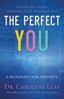 Perfect You – A Blueprint for Identity