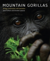 Mountain Gorillas
