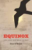 Equinox